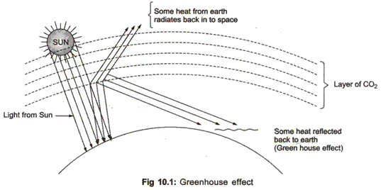 Frank ICSE Solutions for Class 9 Chemistry - Atmospheric Pollution 3