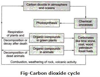 Frank ICSE Solutions for Class 9 Chemistry - Physical and chemical changes 18