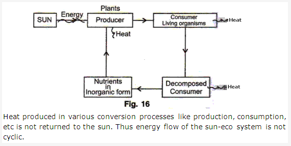 Frank ICSE Solutions for Class 9 Physics - Heat 11