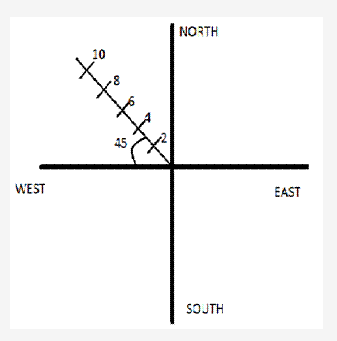 Frank ICSE Solutions for Class 9 Physics - Motion in One Dimension 1