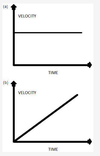 Frank ICSE Solutions for Class 9 Physics - Motion in One Dimension 28