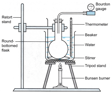 Gay Lussacs Law Gas Pressure and Temperature Relationship 7