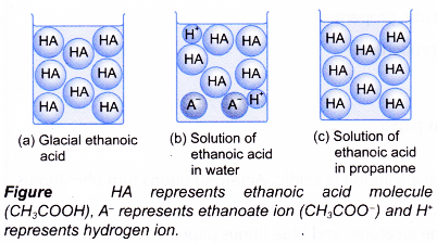 6 properties of acids