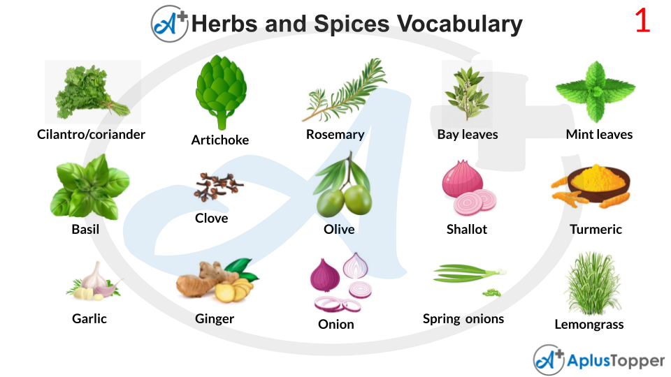 Herbs and Spices Vocabulary