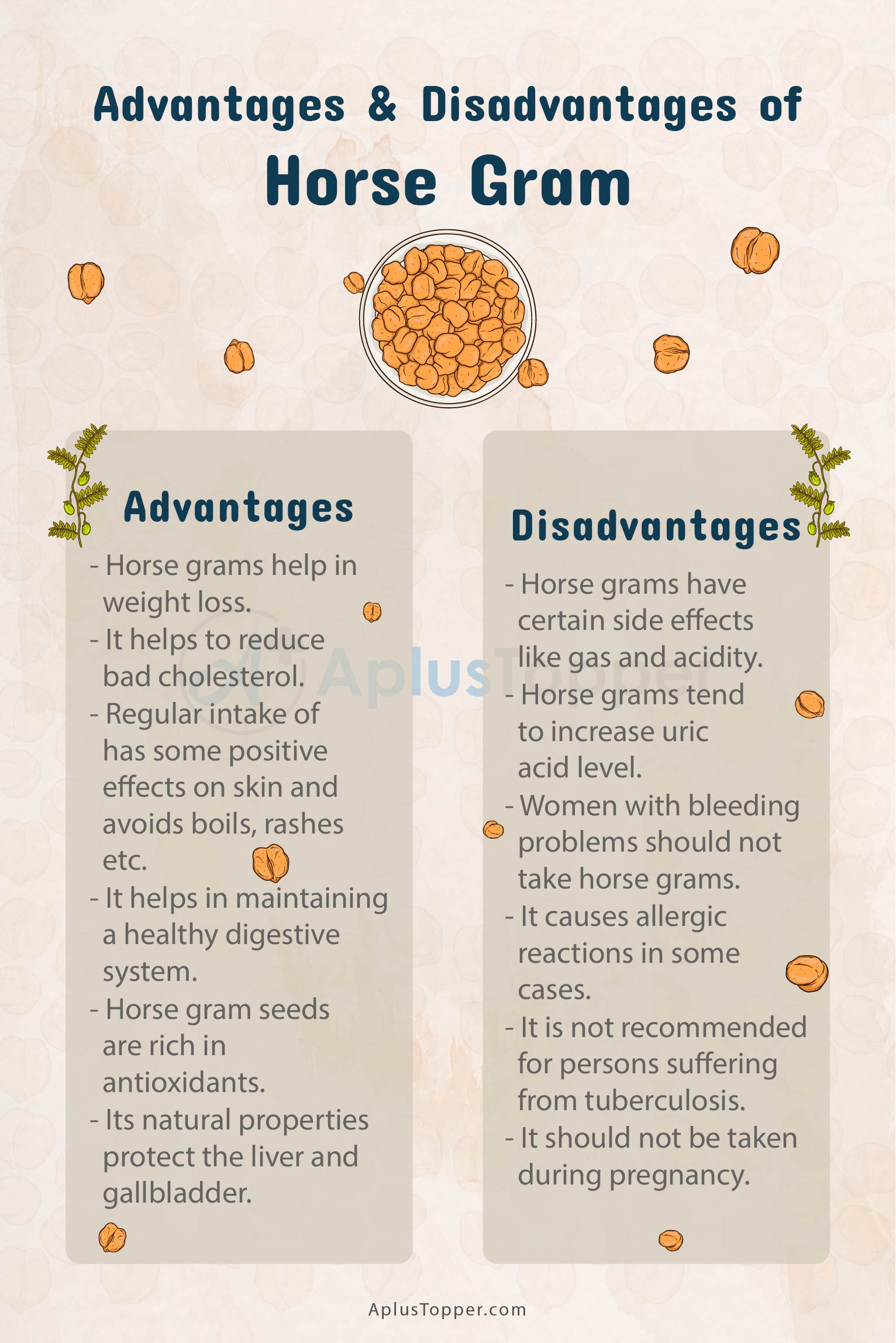 Horse Gram Advantages And Disadvantages 2