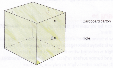 How Shadows Are Formed 3