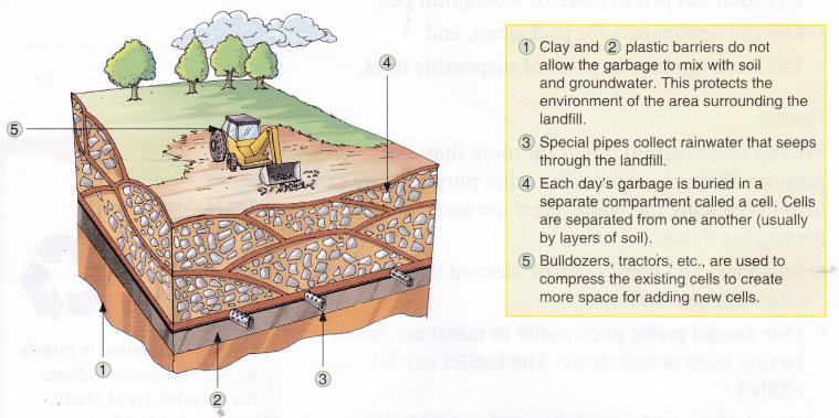 How To Manage Biodegradable Waste 2