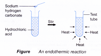 How can energy be changed in a chemical reaction 5