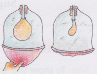 How does the Air Travel Through the Respiratory System 2