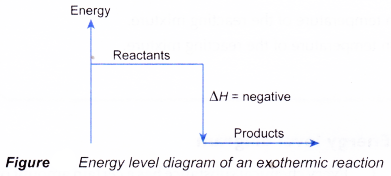 How does the energy level diagram show this reaction is exothermic 1