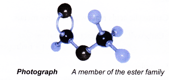 How esters are formed 1