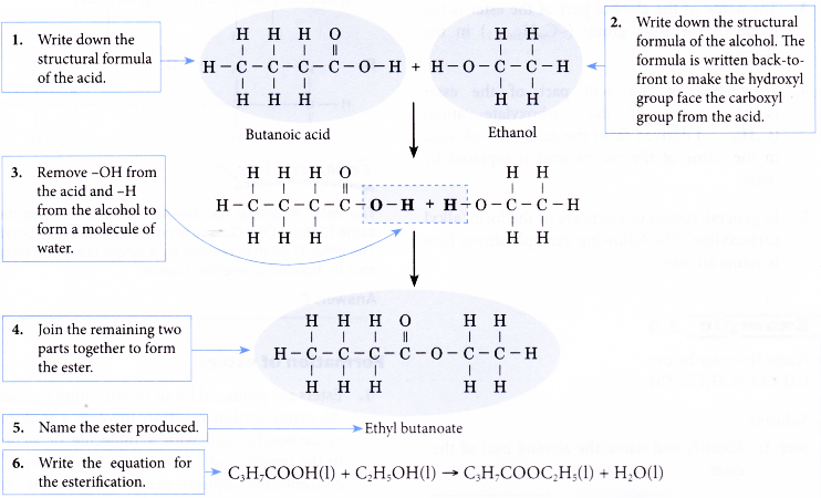 How esters are formed 11