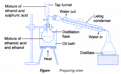 How esters are formed 12