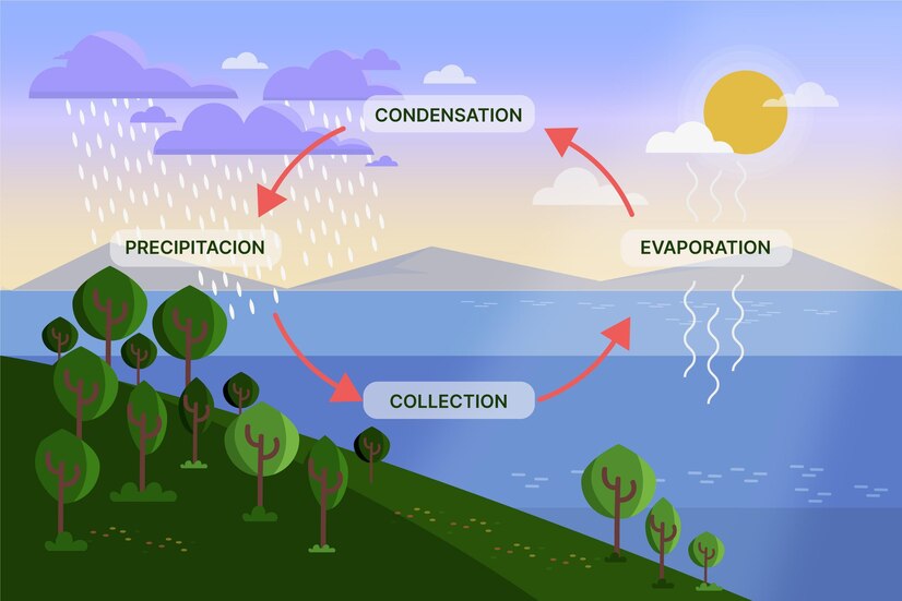 How is acid rain formed chemical equations