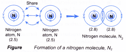 How is covalent bond is formed 13