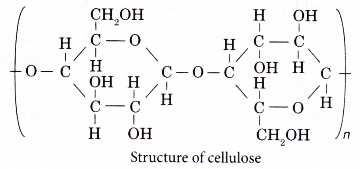 How polymers are classified 10