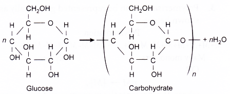 How polymers are classified 4