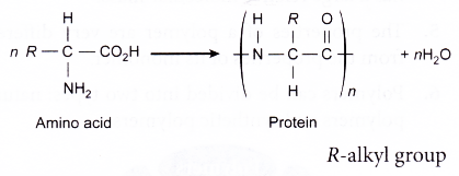 How polymers are classified 5