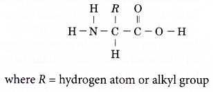 How polymers are classified 6