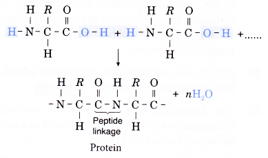 How polymers are classified 7