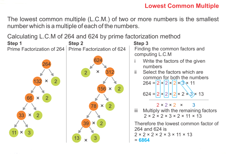 How to Find The Prime Factors Using Factor Tree 11