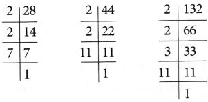 How to Find The Prime Factors Using Factor Tree 12