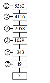 How to Find The Prime Factors Using Factor Tree 3