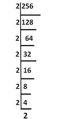 How to Find The Prime Factors Using Factor Tree 6