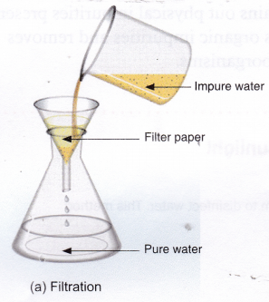 How to Purify Water - Water Purification Process 2