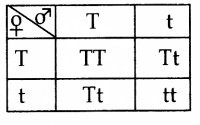 ICSE 2019 Biology Question Paper Solved for Class 10 - 14