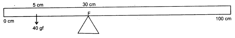 ICSE 2019 Physics Question Paper Solved for Class 10 - 10