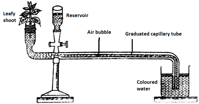 ICSE Biology Question Paper 2007 Solved for Class 10 - 1