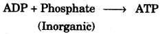 ICSE Biology Question Paper 2007 Solved for Class 10 - 8