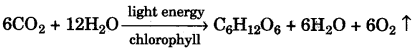 ICSE Biology Question Paper 2008 Solved for Class 10 - 3