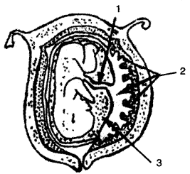 ICSE Biology Question Paper 2009 Solved for Class 10 - 1