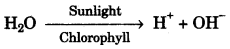 ICSE Biology Question Paper 2009 Solved for Class 10 - 3