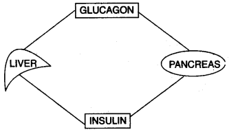 ICSE Biology Question Paper 2011 Solved for Class 10 - 3