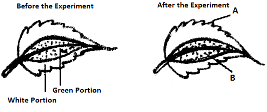 ICSE Biology Question Paper 2012 Solved for Class 10 - 11