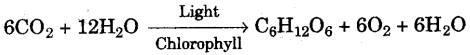 ICSE Biology Question Paper 2012 Solved for Class 10 - 12