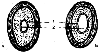 ICSE Biology Question Paper 2012 Solved for Class 10 - 13