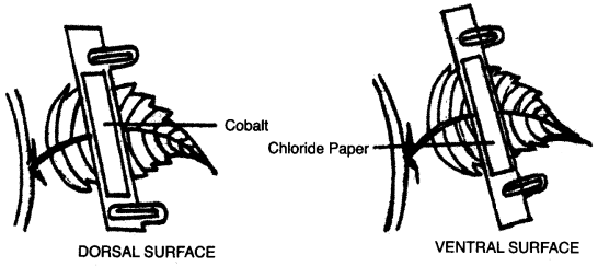 ICSE Biology Question Paper 2012 Solved for Class 10 - 6