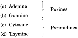 ICSE Biology Question Paper 2013 Solved for Class 10 - 13