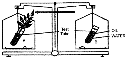 ICSE Biology Question Paper 2014 Solved for Class 10 - 1