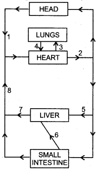 ICSE Biology Question Paper 2014 Solved for Class 10 - 2