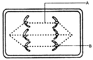 ICSE Biology Question Paper 2015 Solved for Class 10 - 1