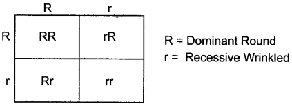 ICSE Biology Question Paper 2015 Solved for Class 10 - 10