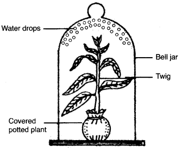 ICSE Biology Question Paper 2015 Solved for Class 10 - 4