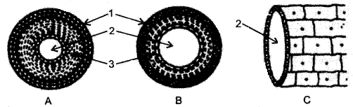 ICSE Biology Question Paper 2015 Solved for Class 10 - 5