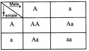 ICSE Biology Question Paper 2017 Solved for Class 10 - 16