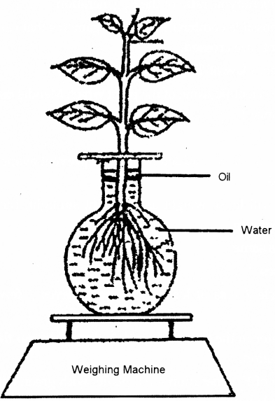 ICSE Biology Question Paper 2018 Solved for Class 10 - 16